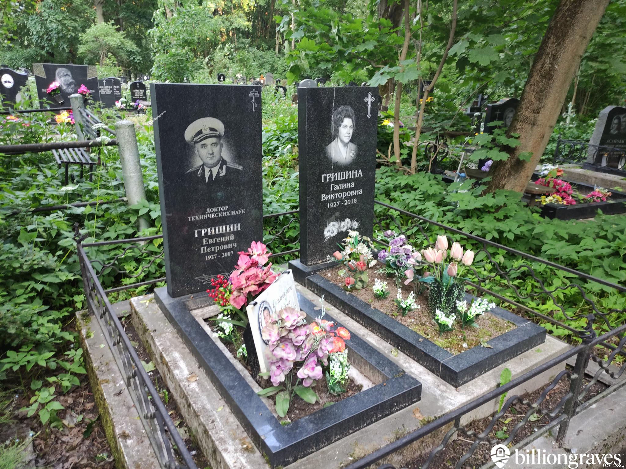 Еремченко Елена Евгеньевна