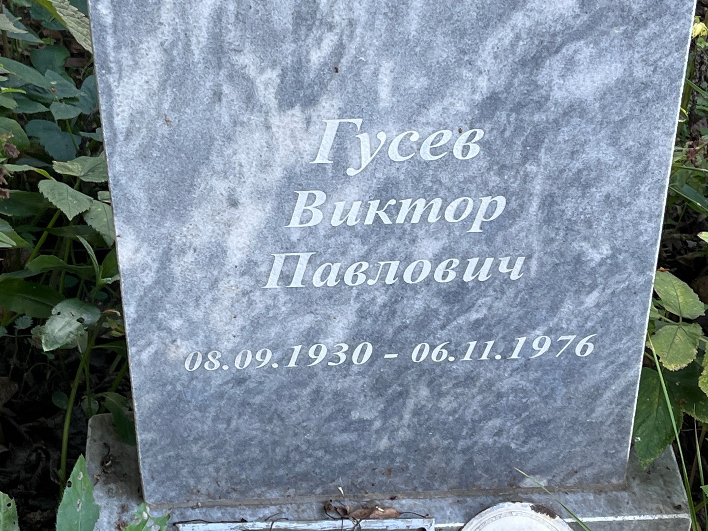 Гусев