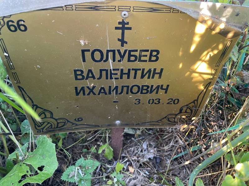 Голубев