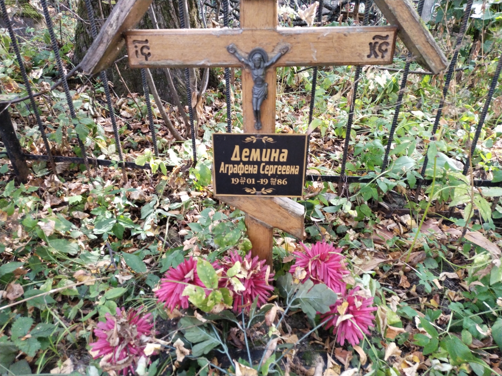 Демина Аграфена Сергеевна