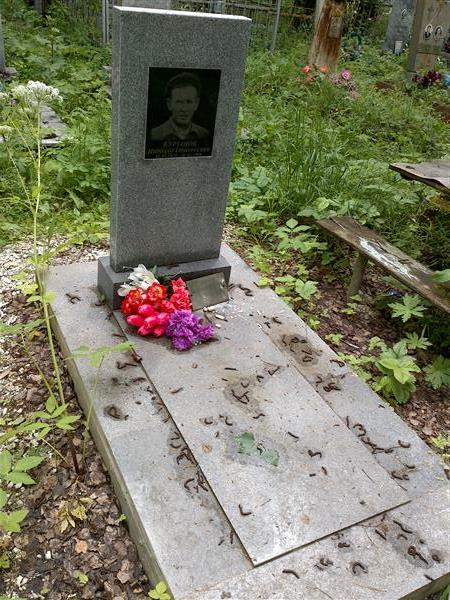 Курзанов Николай Тимофеевич