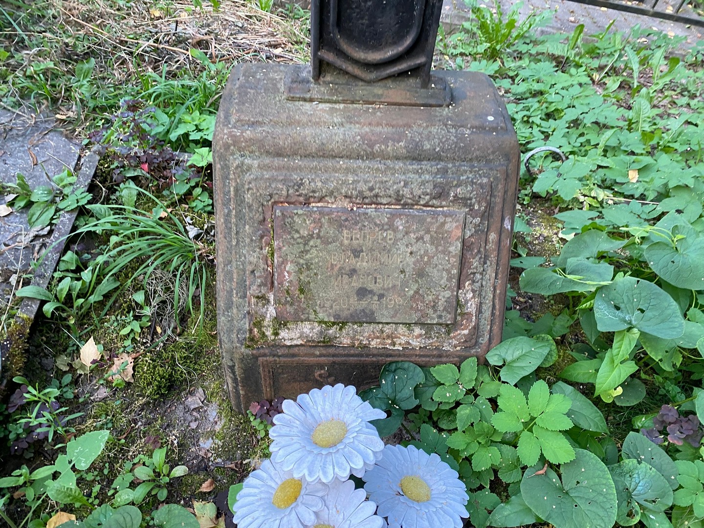Вепрев