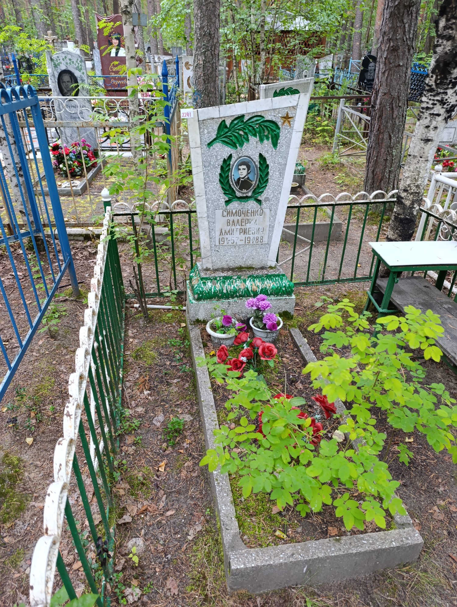 Симоченко Валерий Дмитриевич