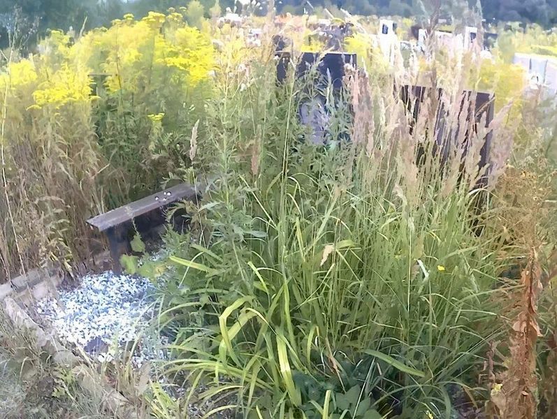 Борисов Владимир Павлович