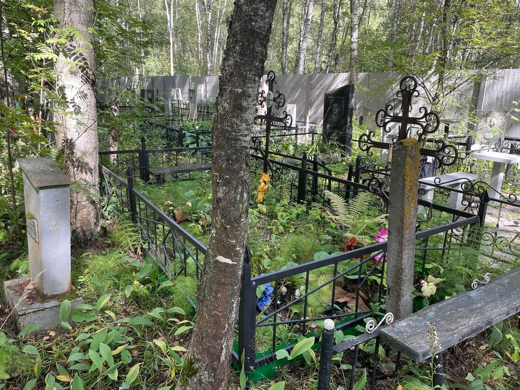 Шалунова Анна Михайловна