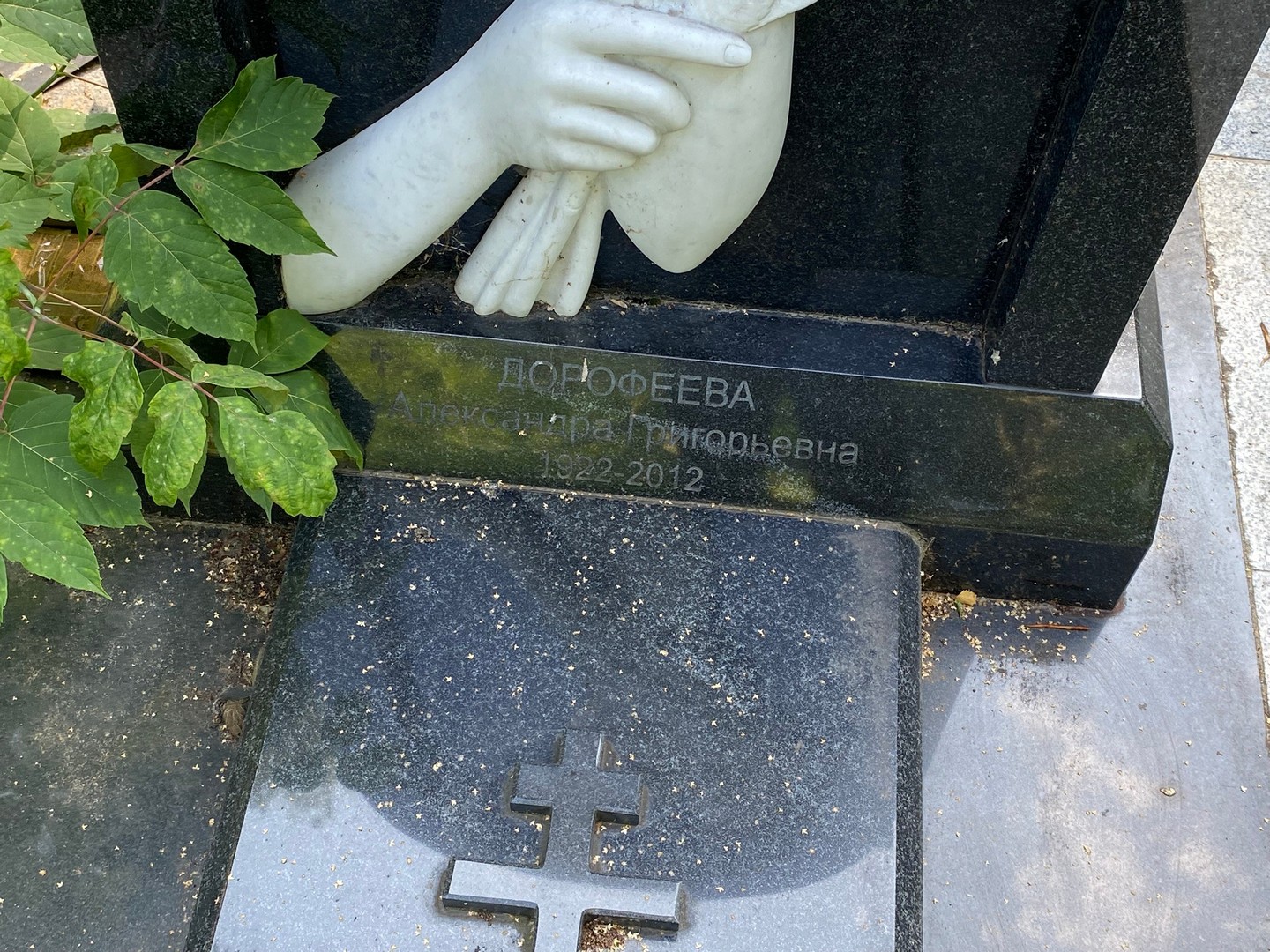 Дорофеева Александра Григорьевна