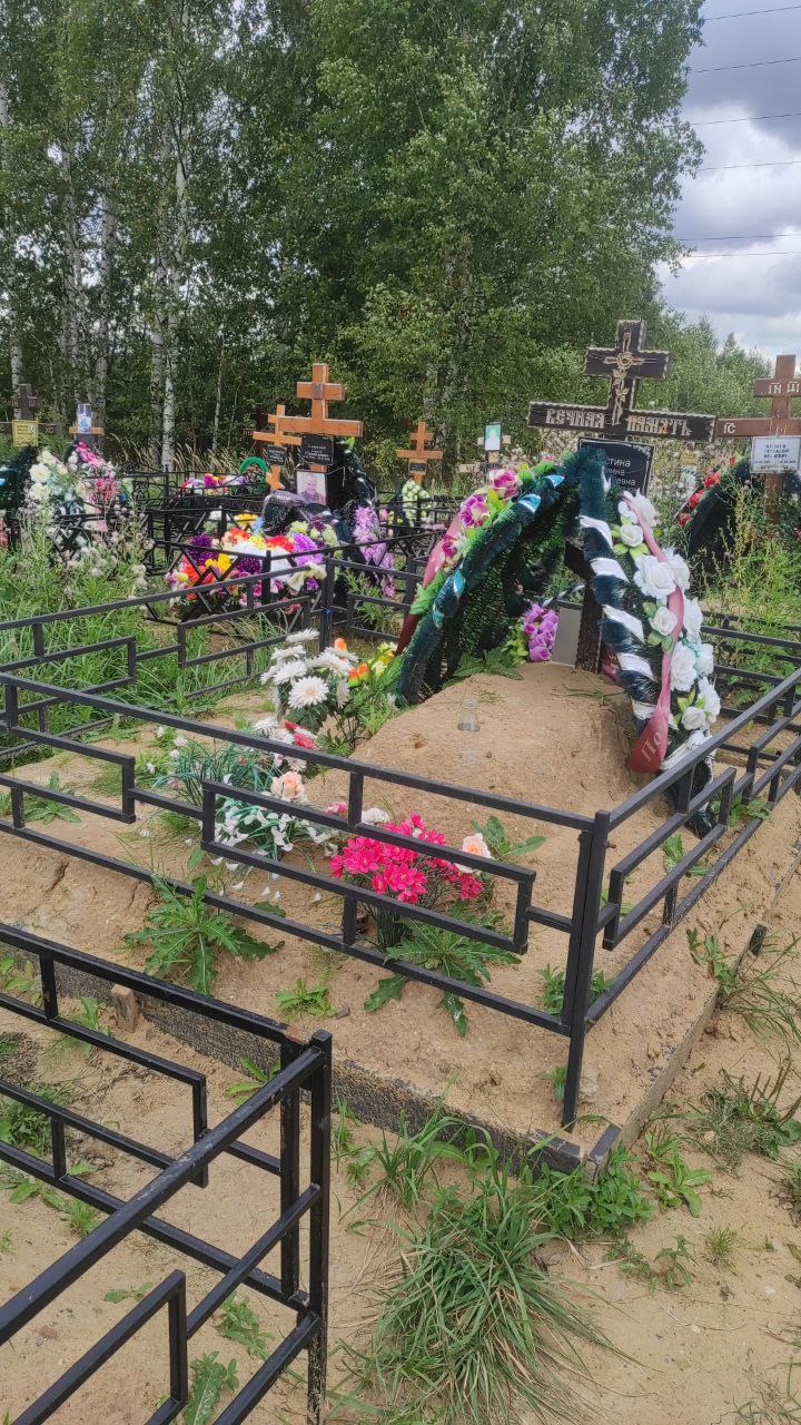 Костина