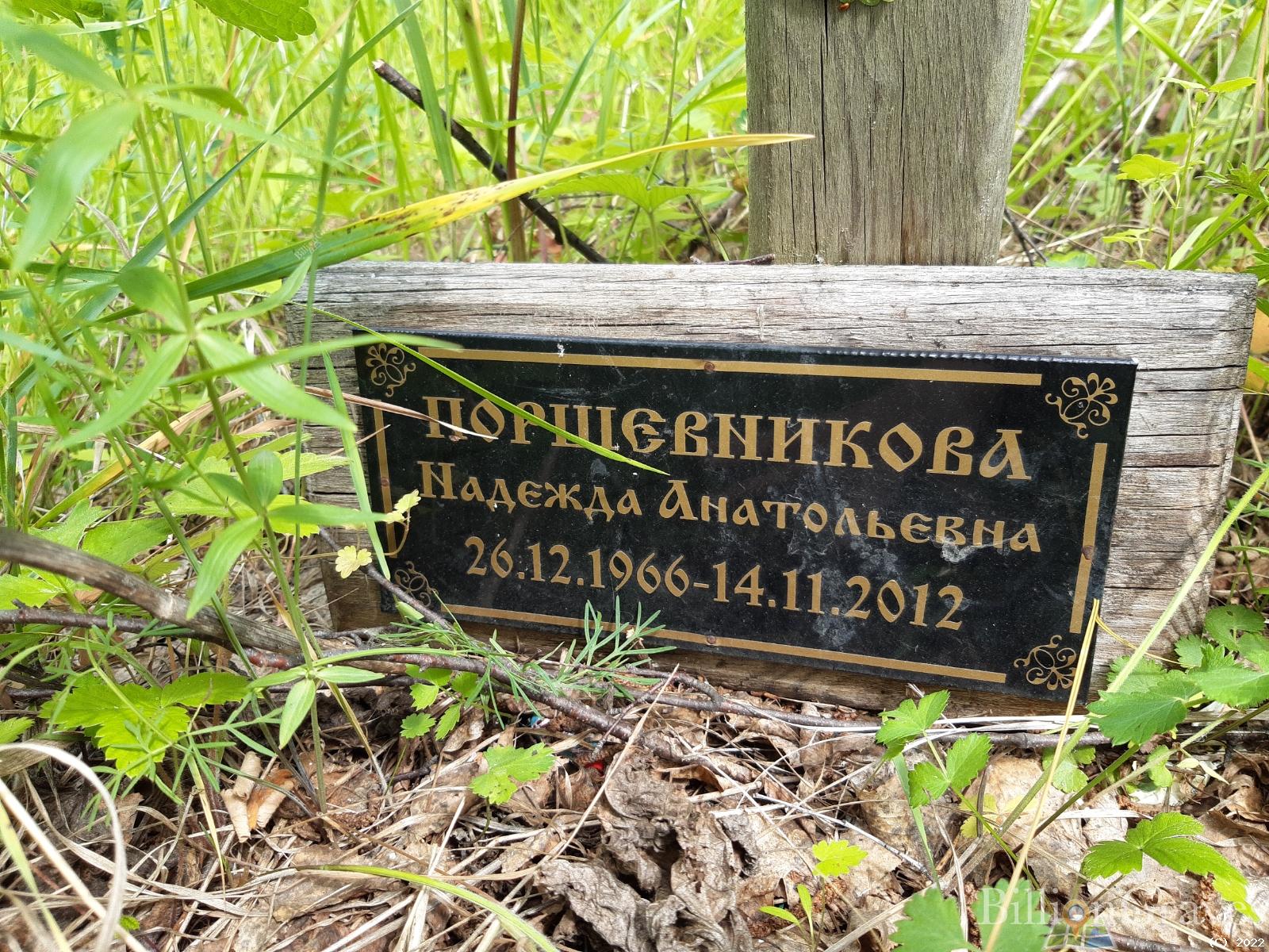 Поршевникова Надежда Анатольевна