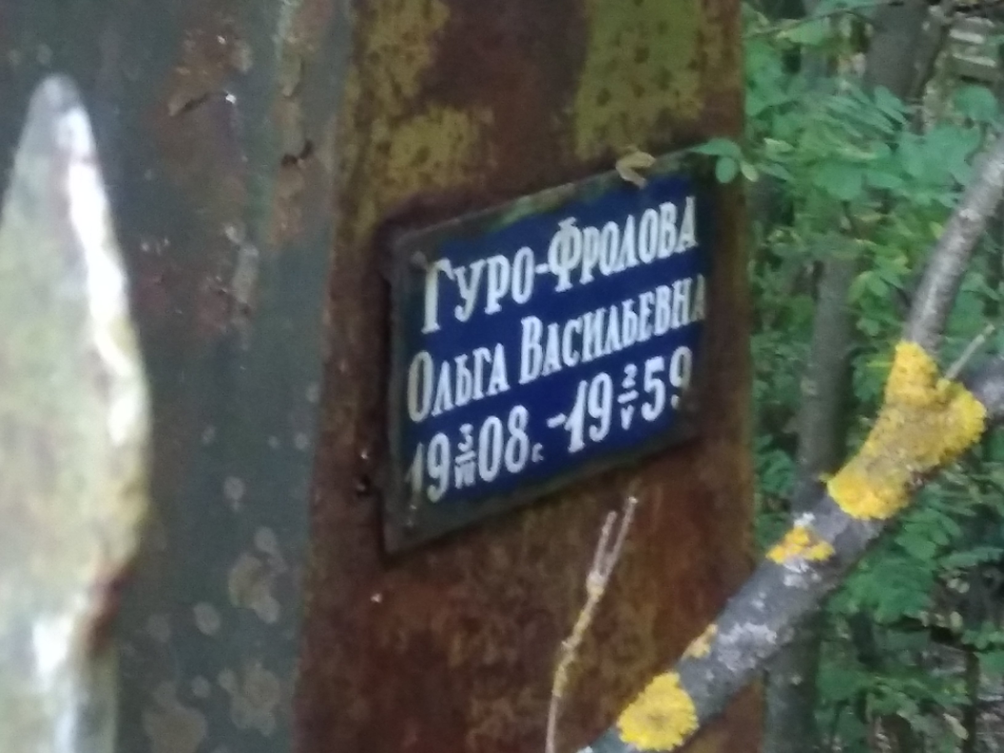 Гуро-Фролова Ольга Васильевна