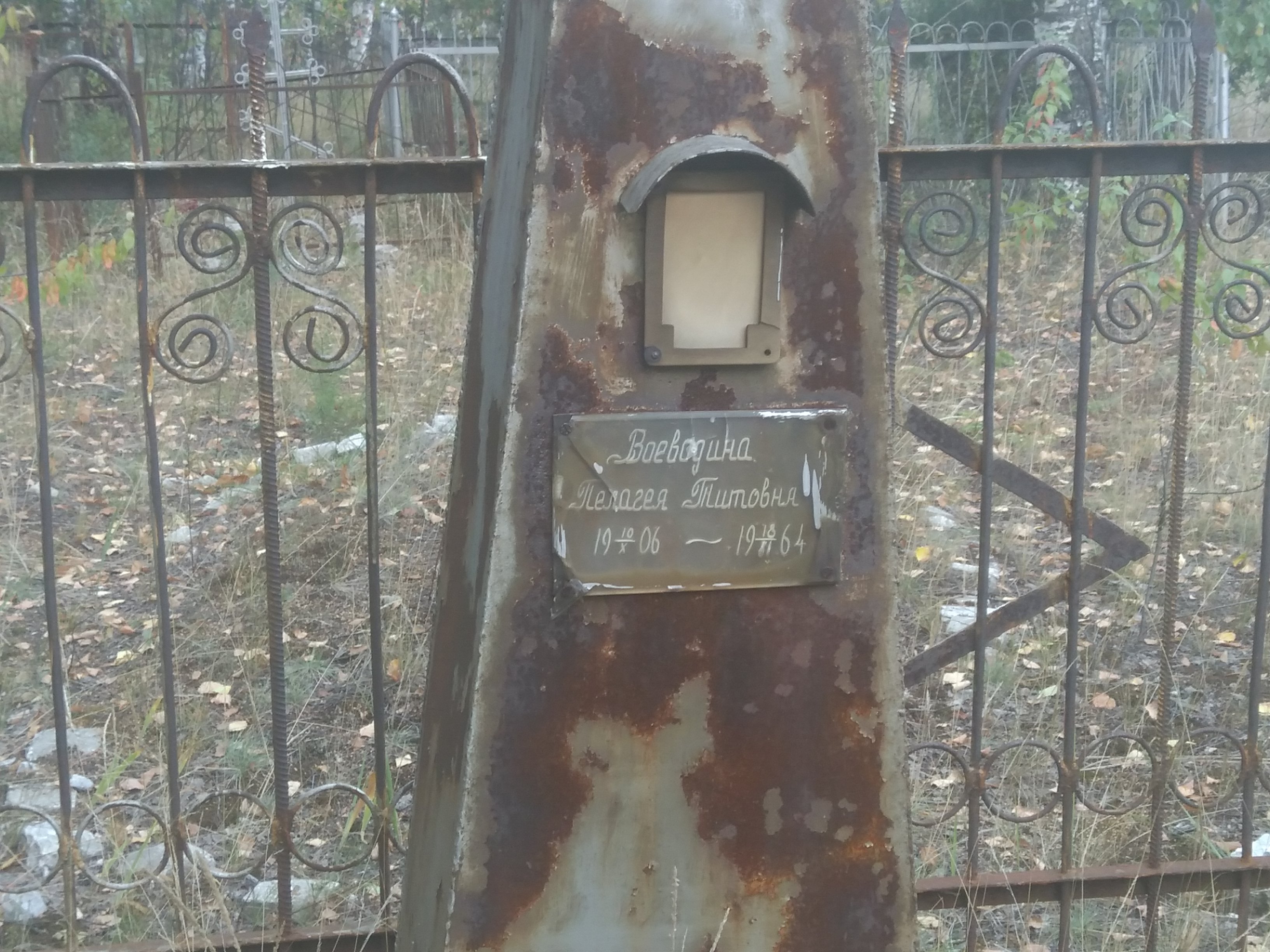 Воеводина Пелагея Титовна
