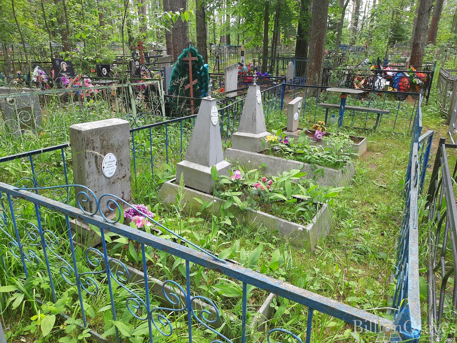Криулин Александр Васильевич