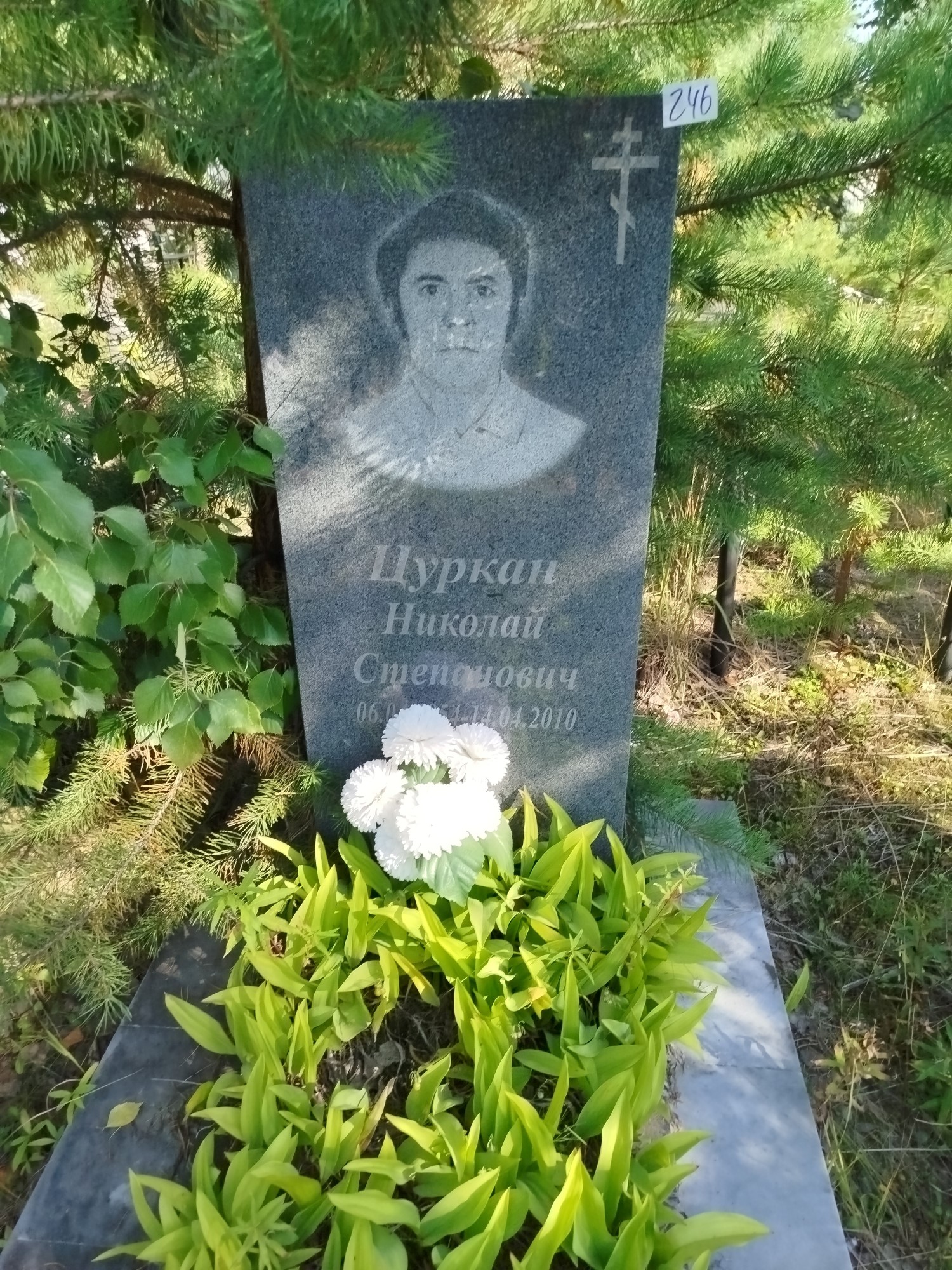Цуркан Николай Степанович