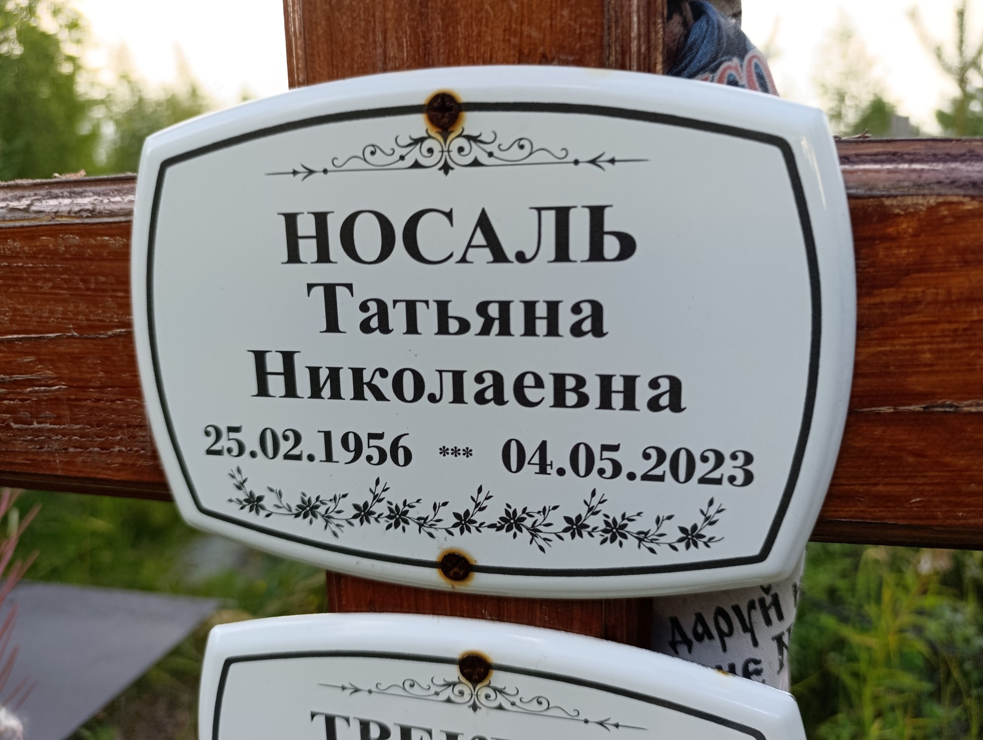 Носаль Татьяна Николаевна