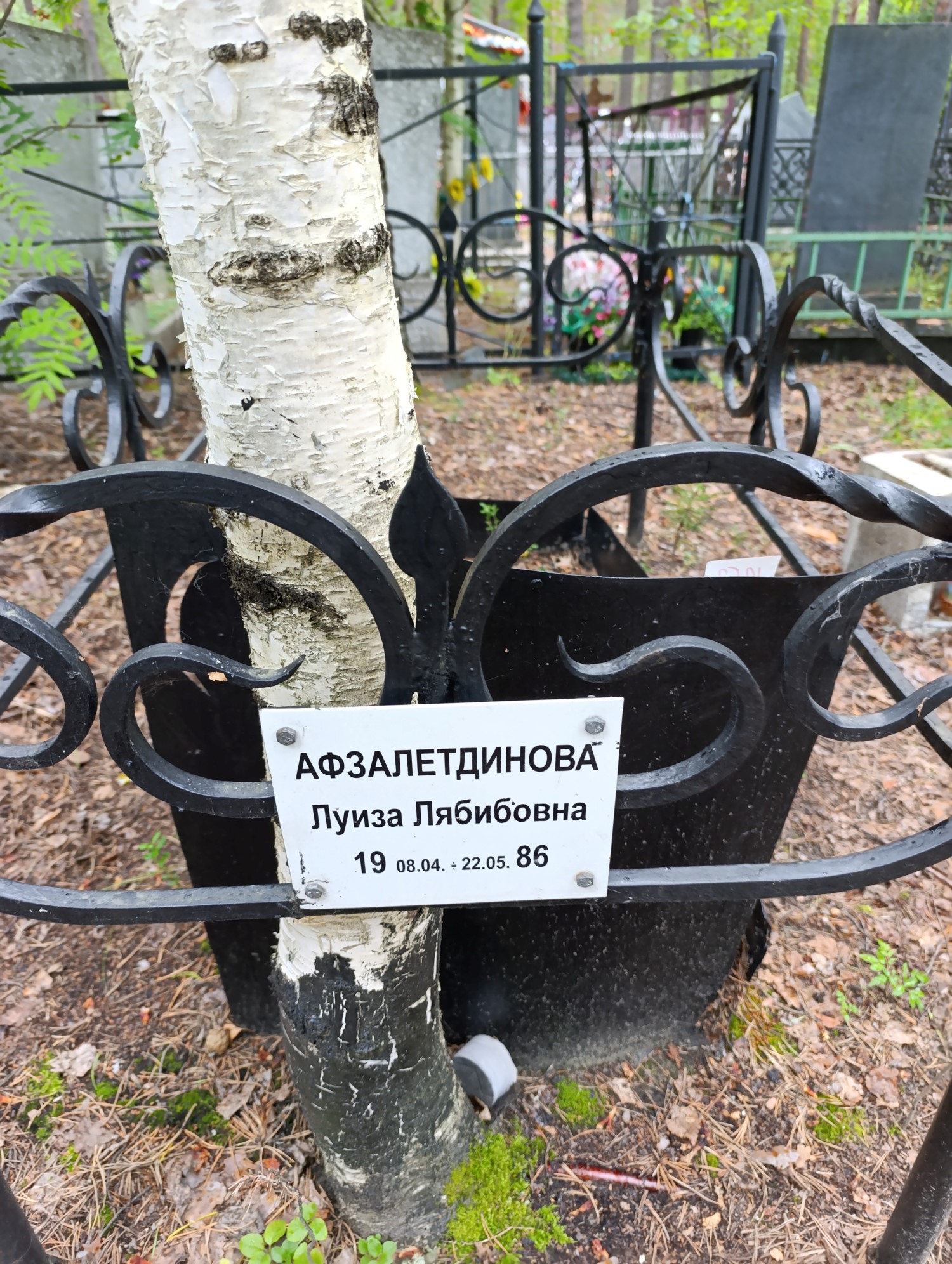Афзалетдинова Луиза Лябибовна