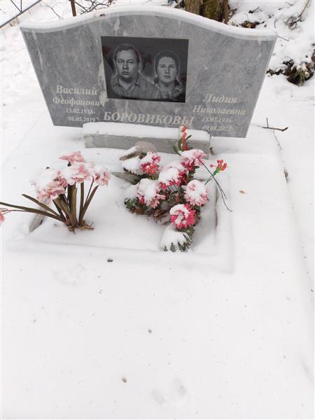 Боровикова Лидия Николаевна