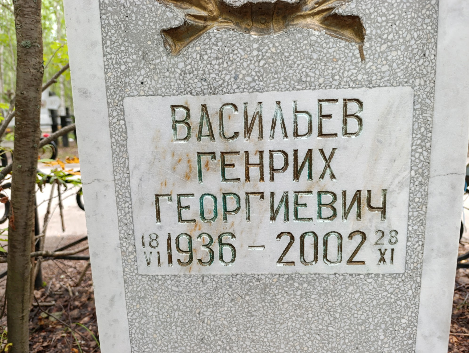 Васильев Генрих Георгиевич