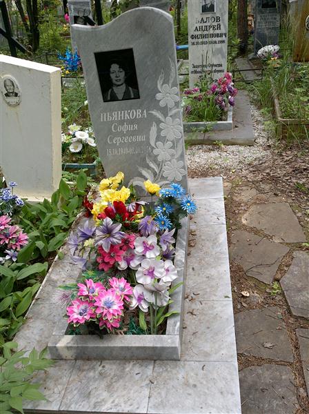 Пьянкова Софья Сергеевна