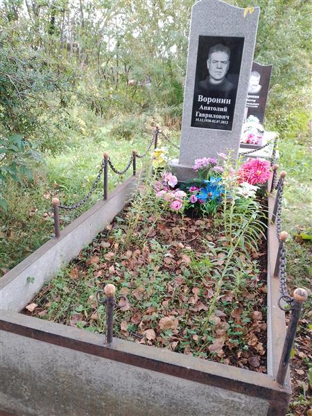 Воронин Анатолий Гаврилович