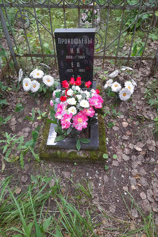 Прокофьев Е. А.