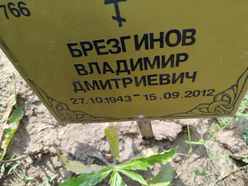 Брезгинов