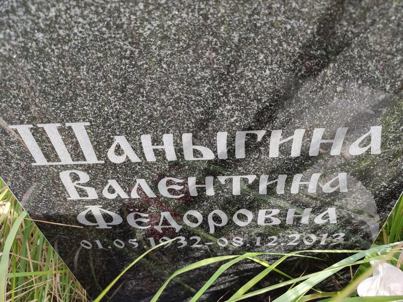 Шаныгина