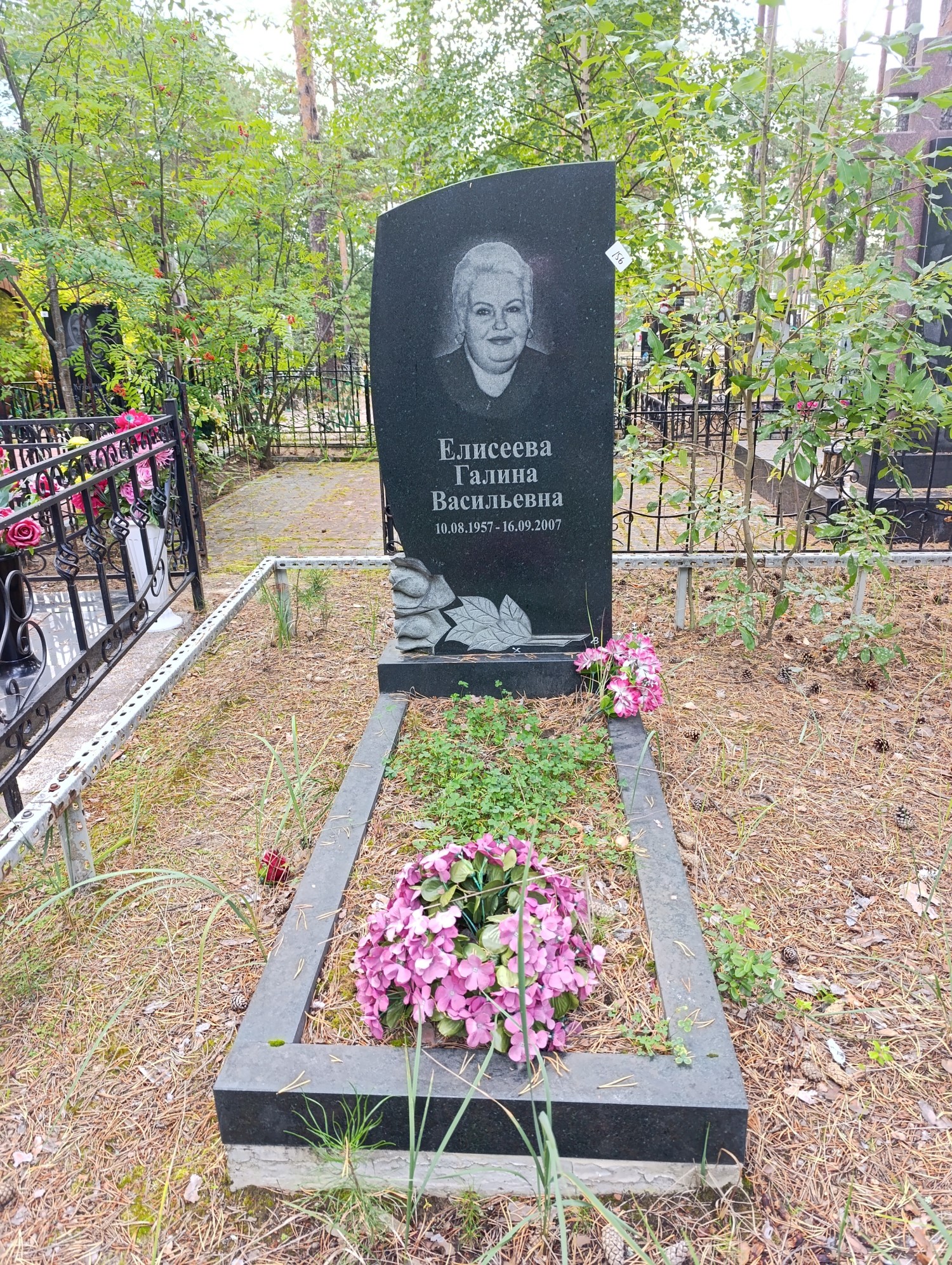Елисеева Галина Васильевна