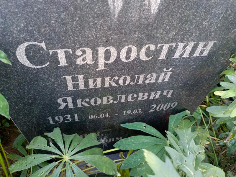 Старостин