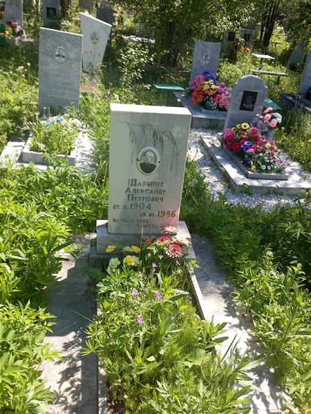 Шальных Александр Петрович
