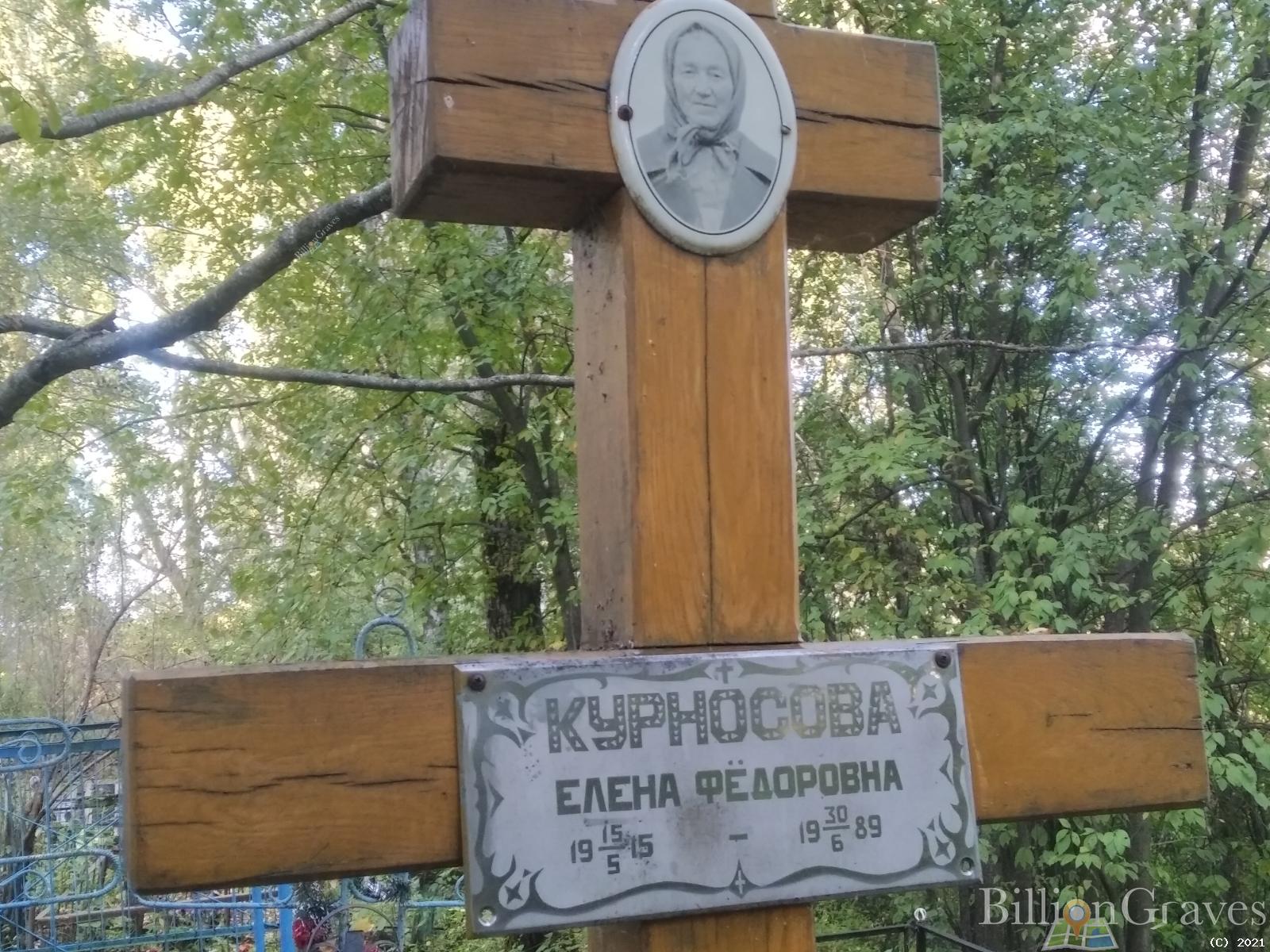 Курносова Елена Фёдоровна