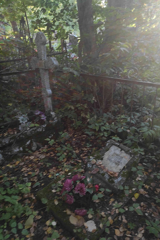 Крылов Алексей Сергеевич