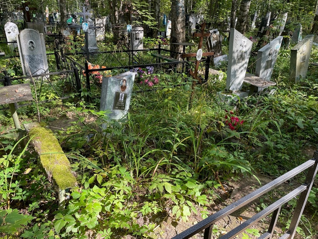 Ершова Надежда Николаевна