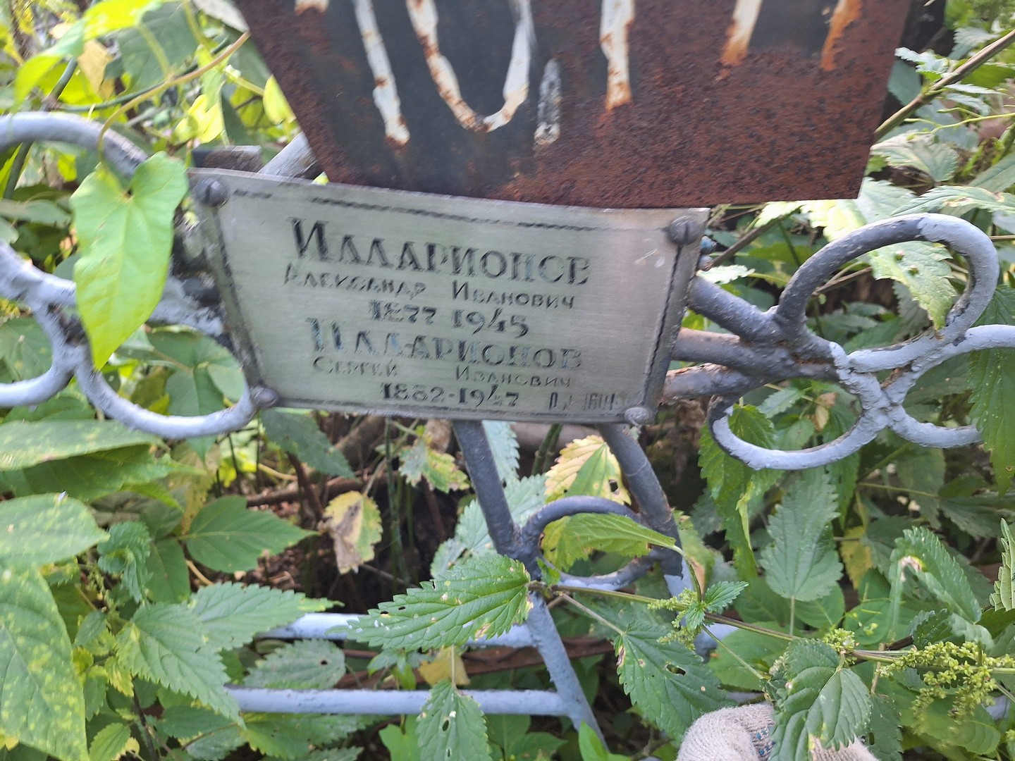Илларионов