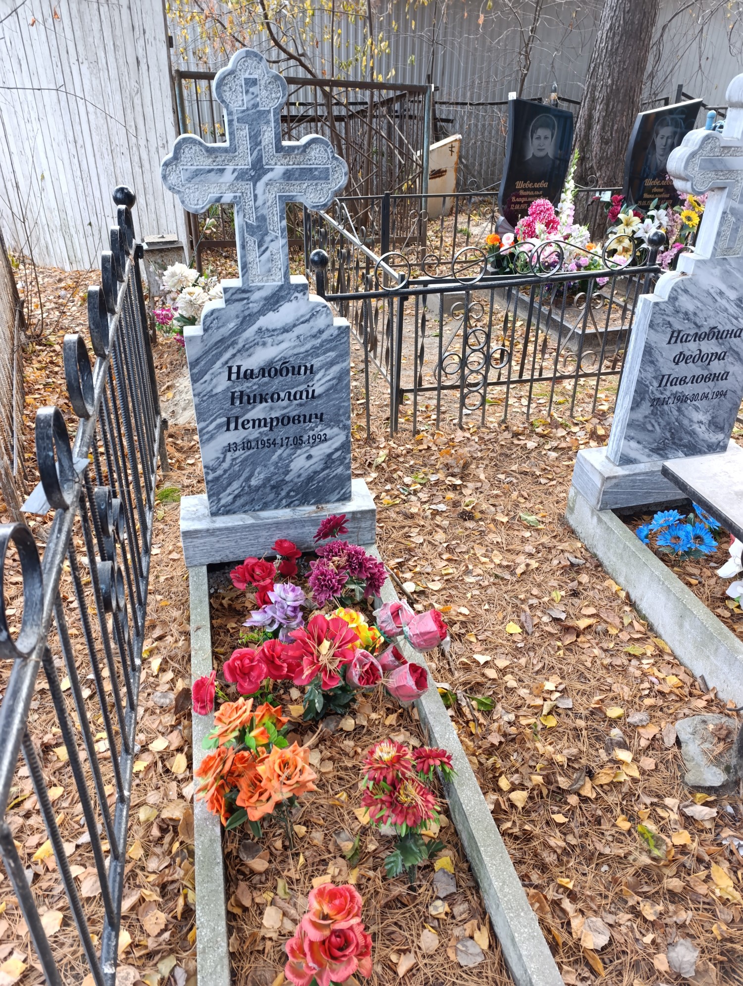 Налобин Николай Петрович