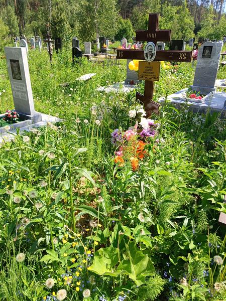 Комлев Андрей Николаевич