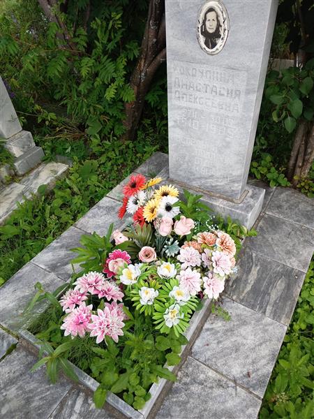 Кокоулина Анастасия Алексеевна