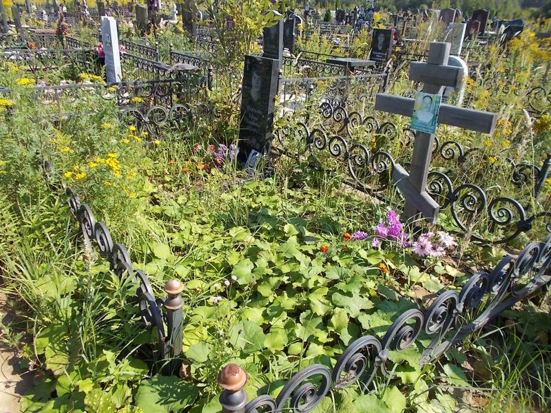 Телехов Александр Александрович