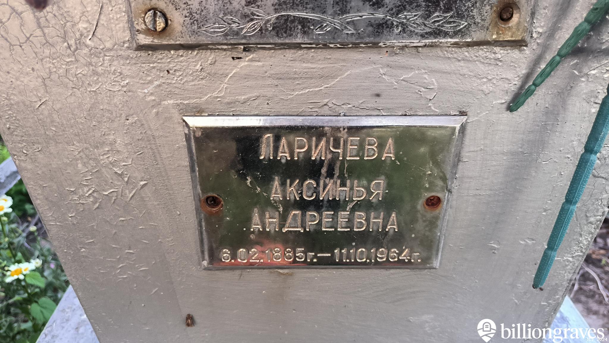 Ларичева Аксинья Андреевна