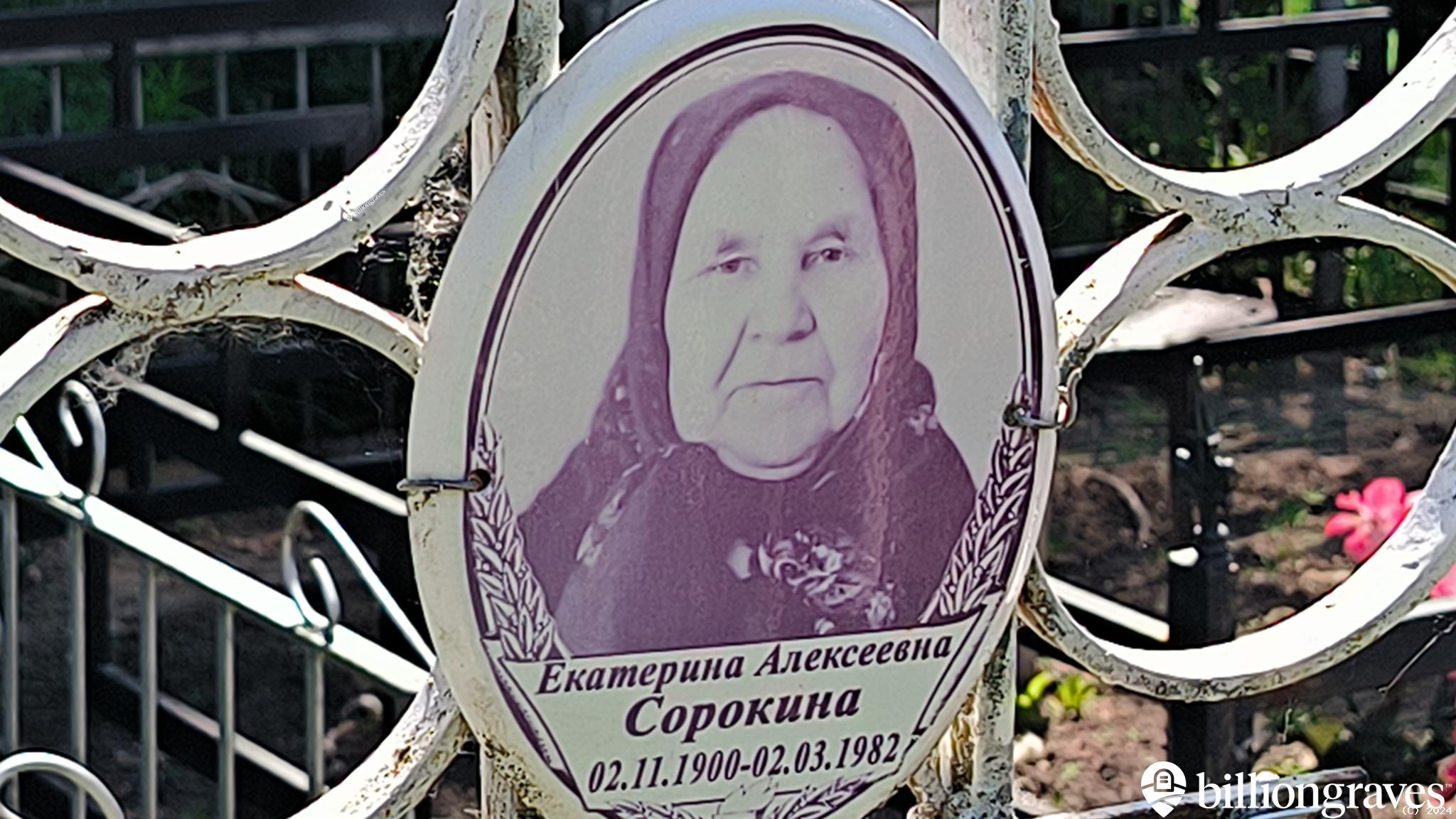 Сорокина Екатерина Алексеевна