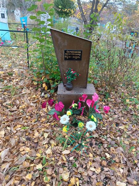Скрипников Виктор Ефремович