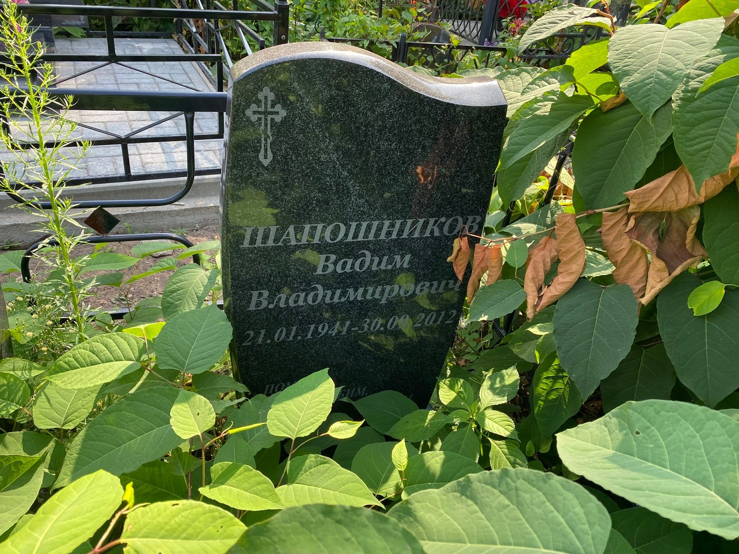 Шапошников