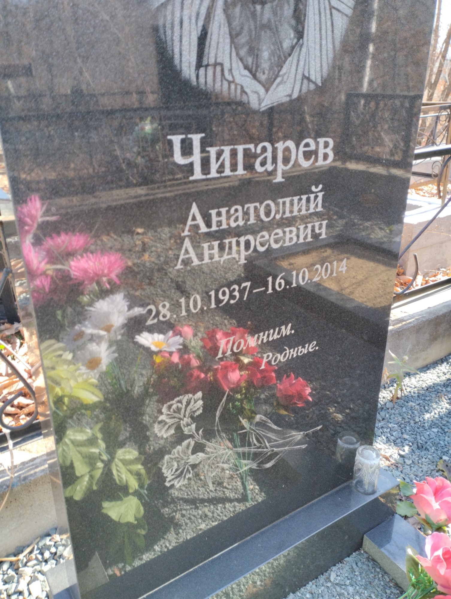Чигарев Анатолий Андреевич