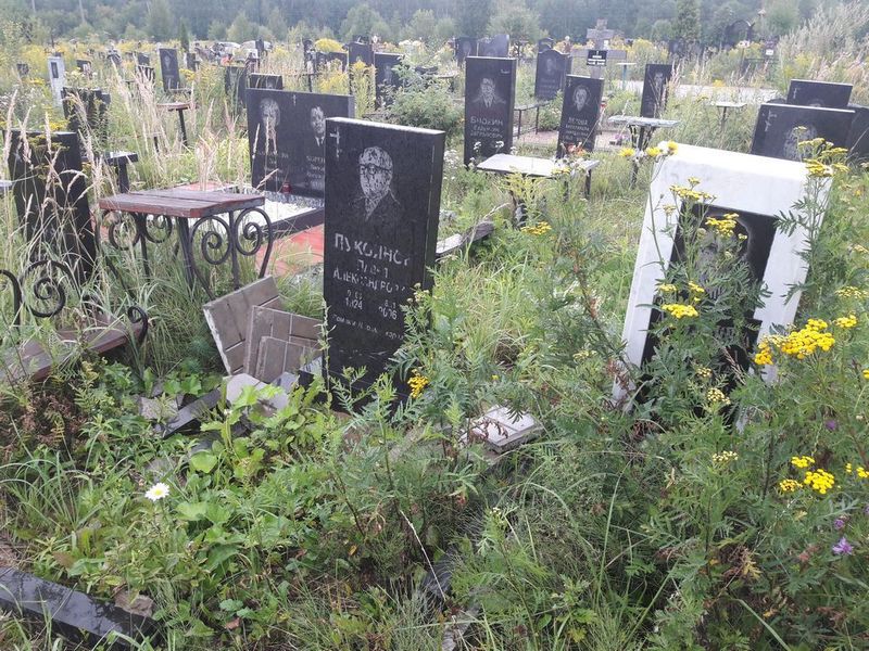 Лукоянов Павел Александрович
