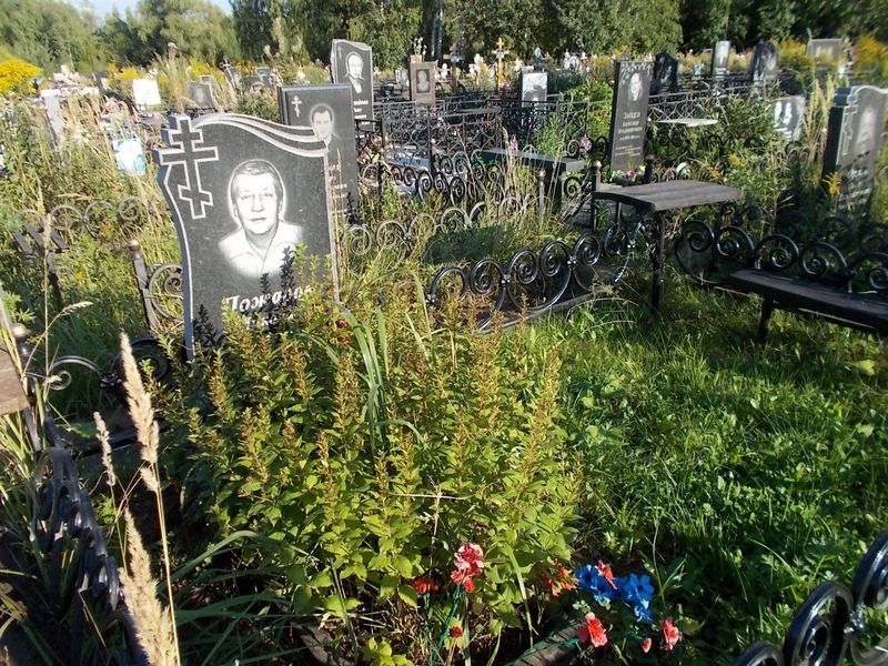 Пожаров Николай Дитриевич