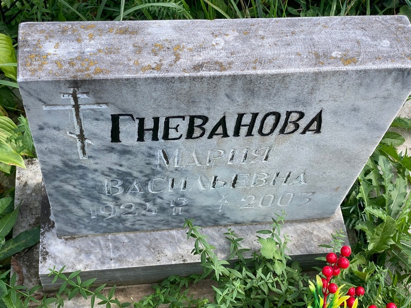 Гневанова