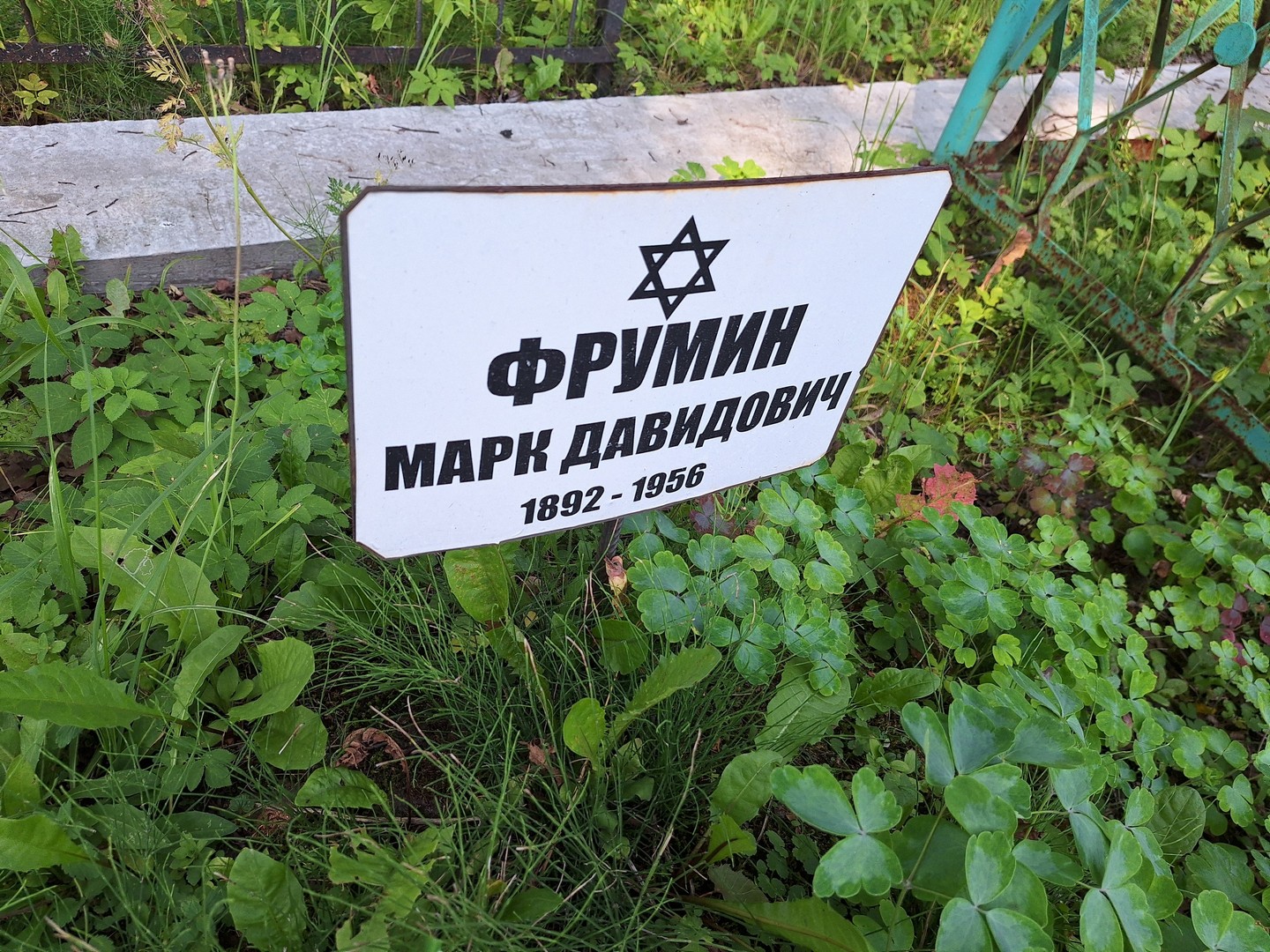 Марк Фрумин Давидович