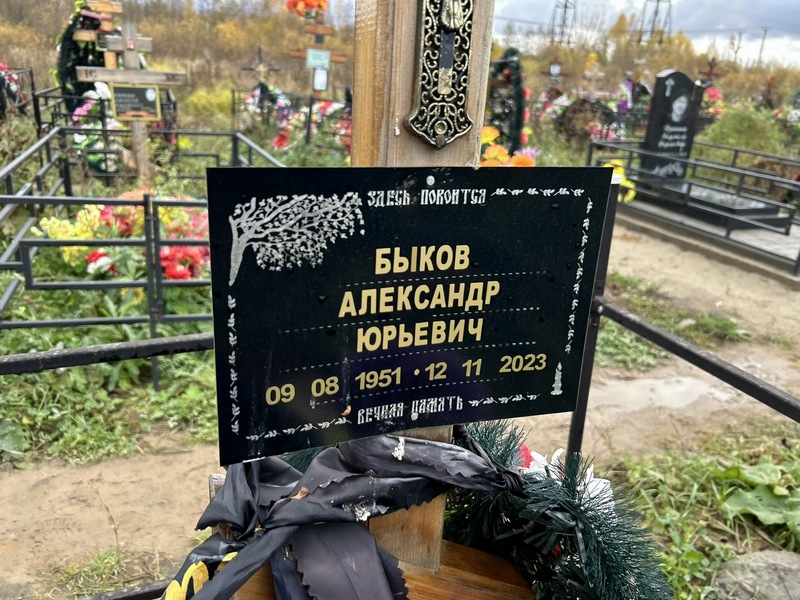 Быков