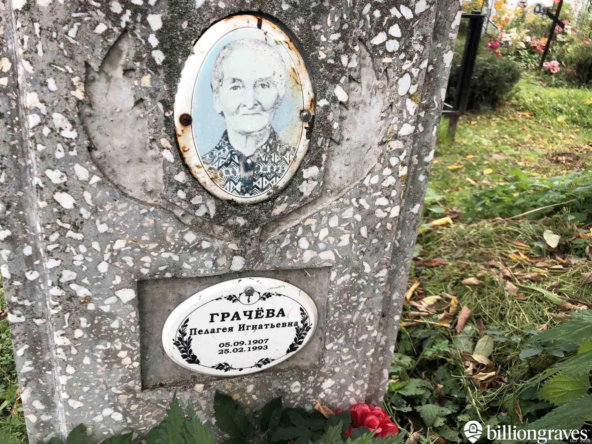 Челышева Таисья Петровна