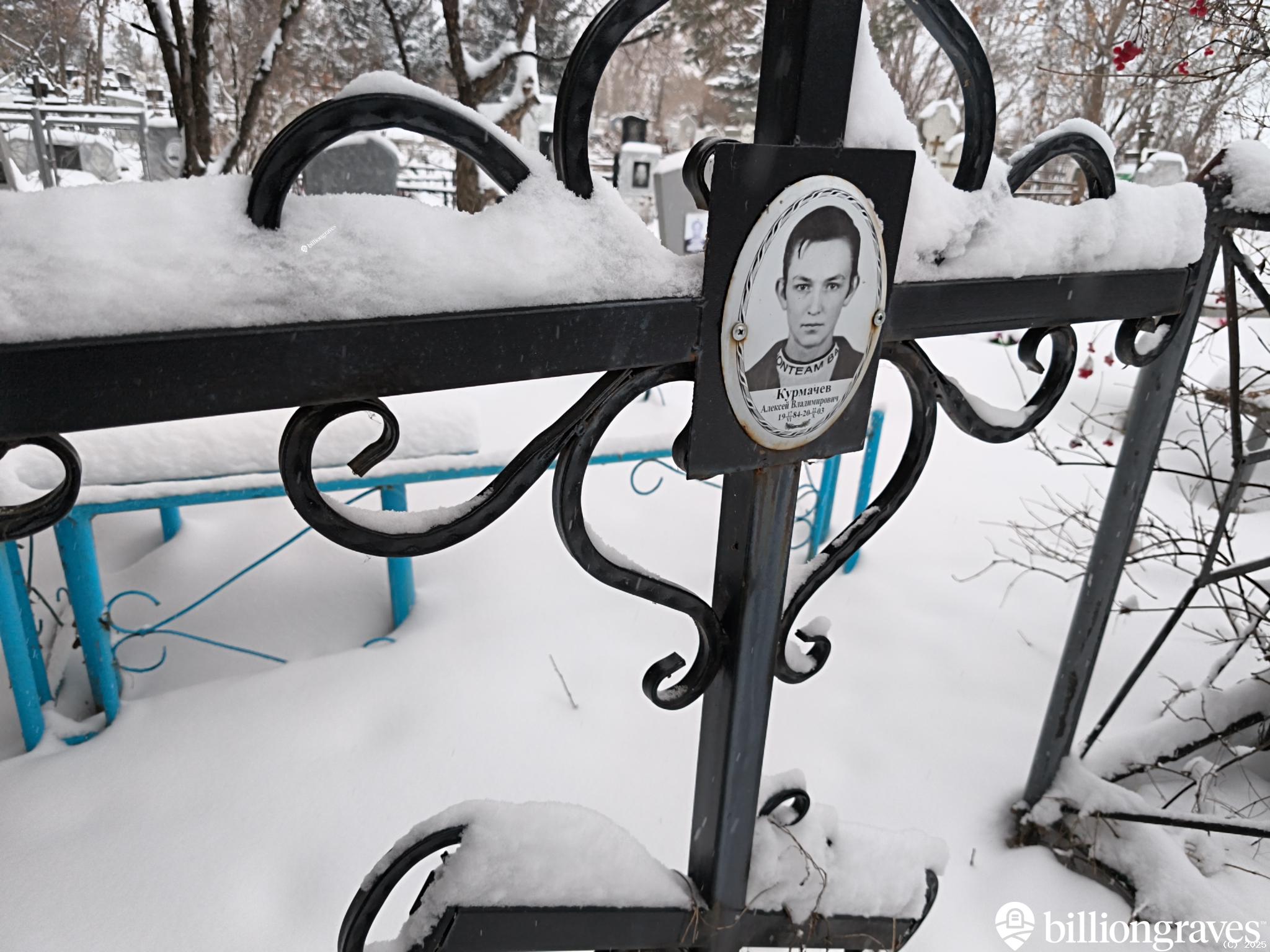 Курмачев Алексей Владимирович