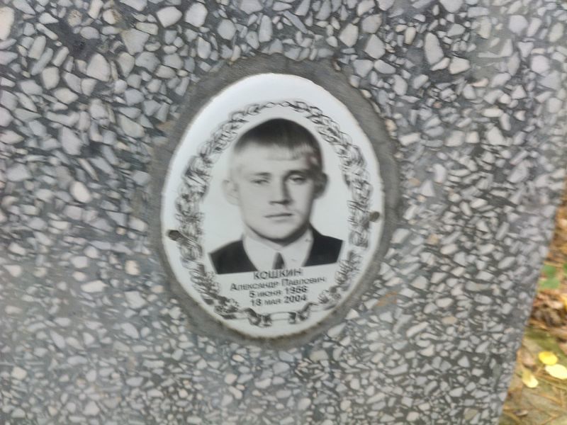 Кошкин
