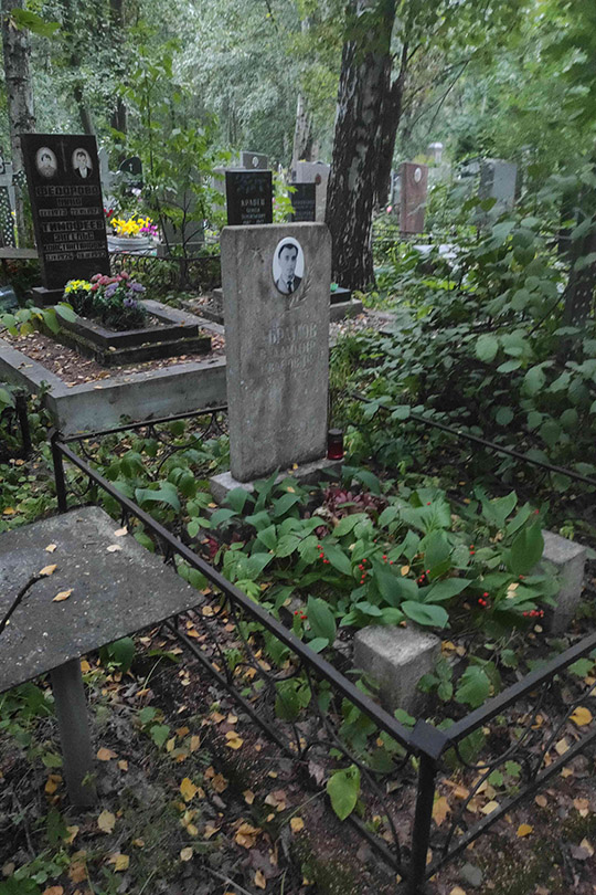 Абрамов Владимир Иванович
